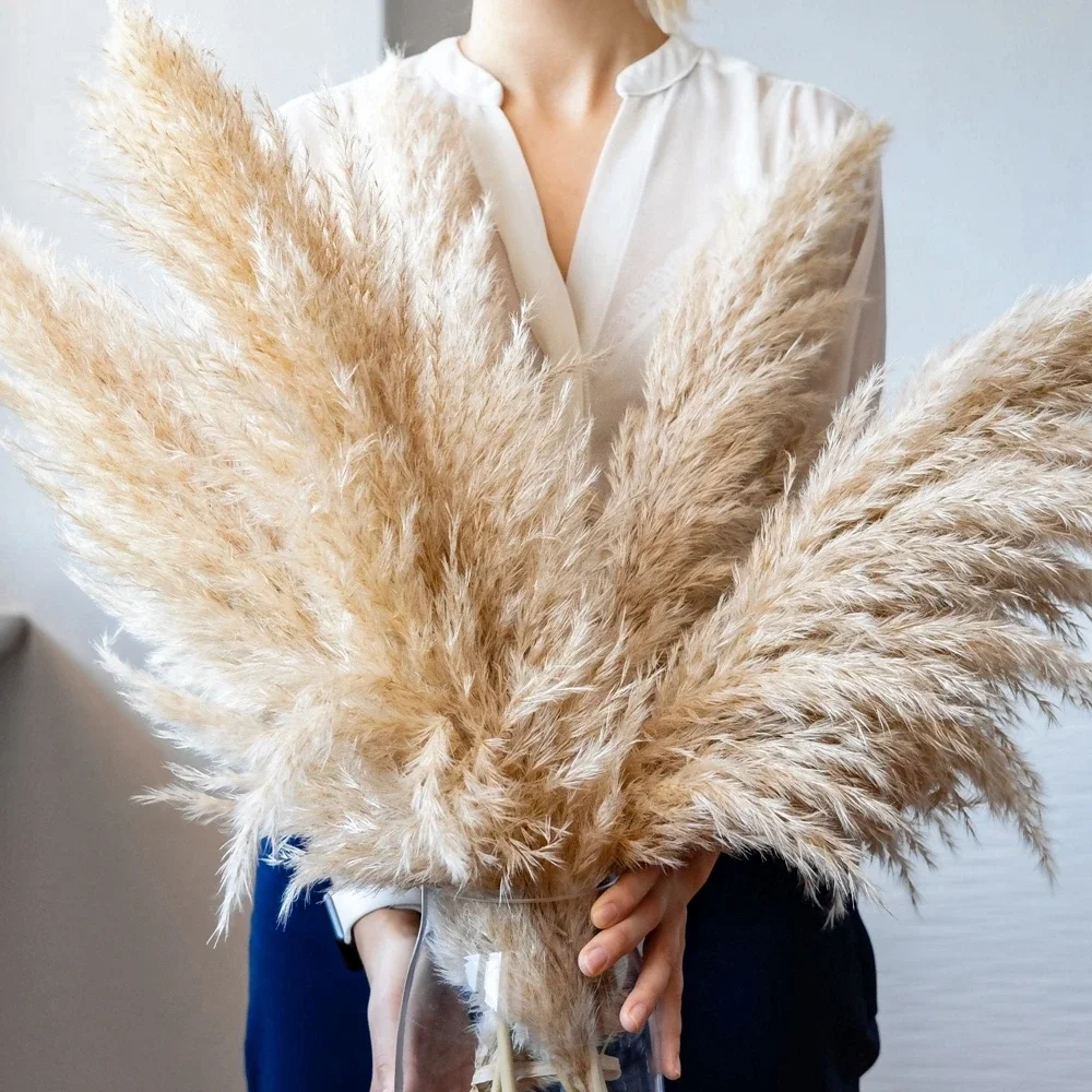 80Cm 120Cm Lông Tơ Lớn Pampas  - đánh giá và giá Pampas Grass Decor