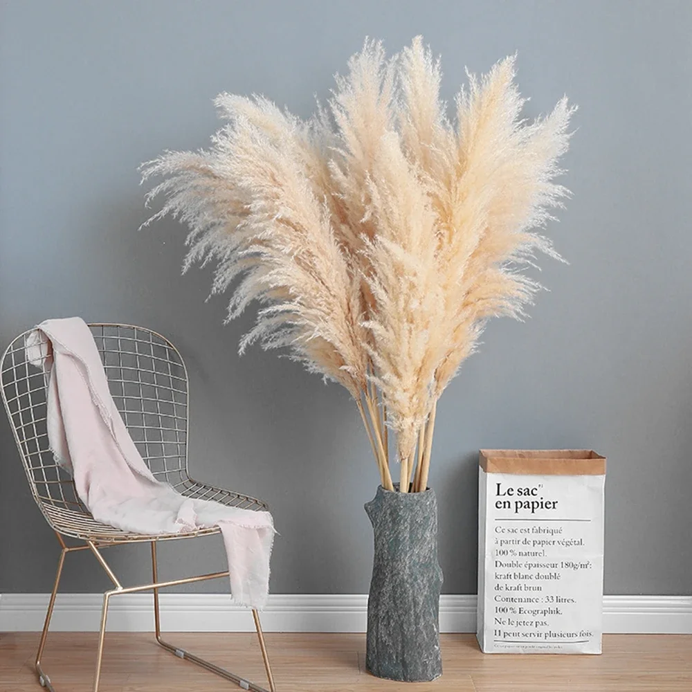 80Cm 120Cm Lông Tơ Lớn Pampas  - đánh giá và giá Pampas Grass Decor