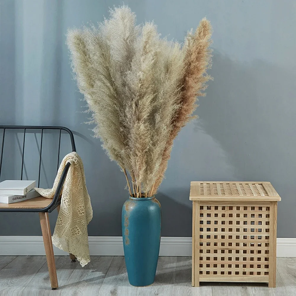 80Cm 120Cm Lông Tơ Lớn Pampas  - đánh giá và giá Pampas Grass Decor