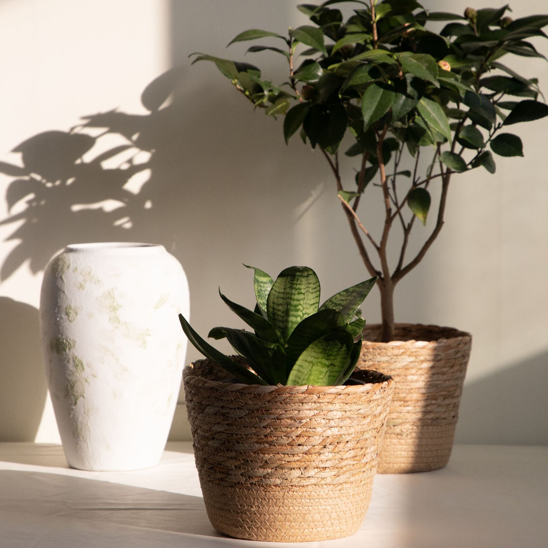 Multi-purpose Woven Storage Ba - đánh giá và giá Rattan Plant Basket