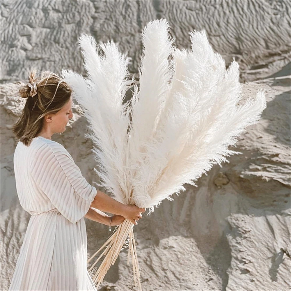 110 - 120cm Large Dried Pampas - đánh giá và giá Pampas Grass Decor